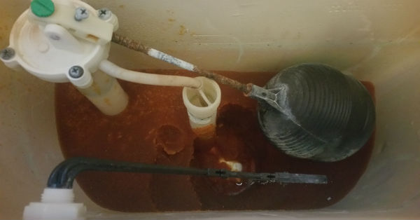 Water softener residue in a toilet - Robins Plumbing, Inc.